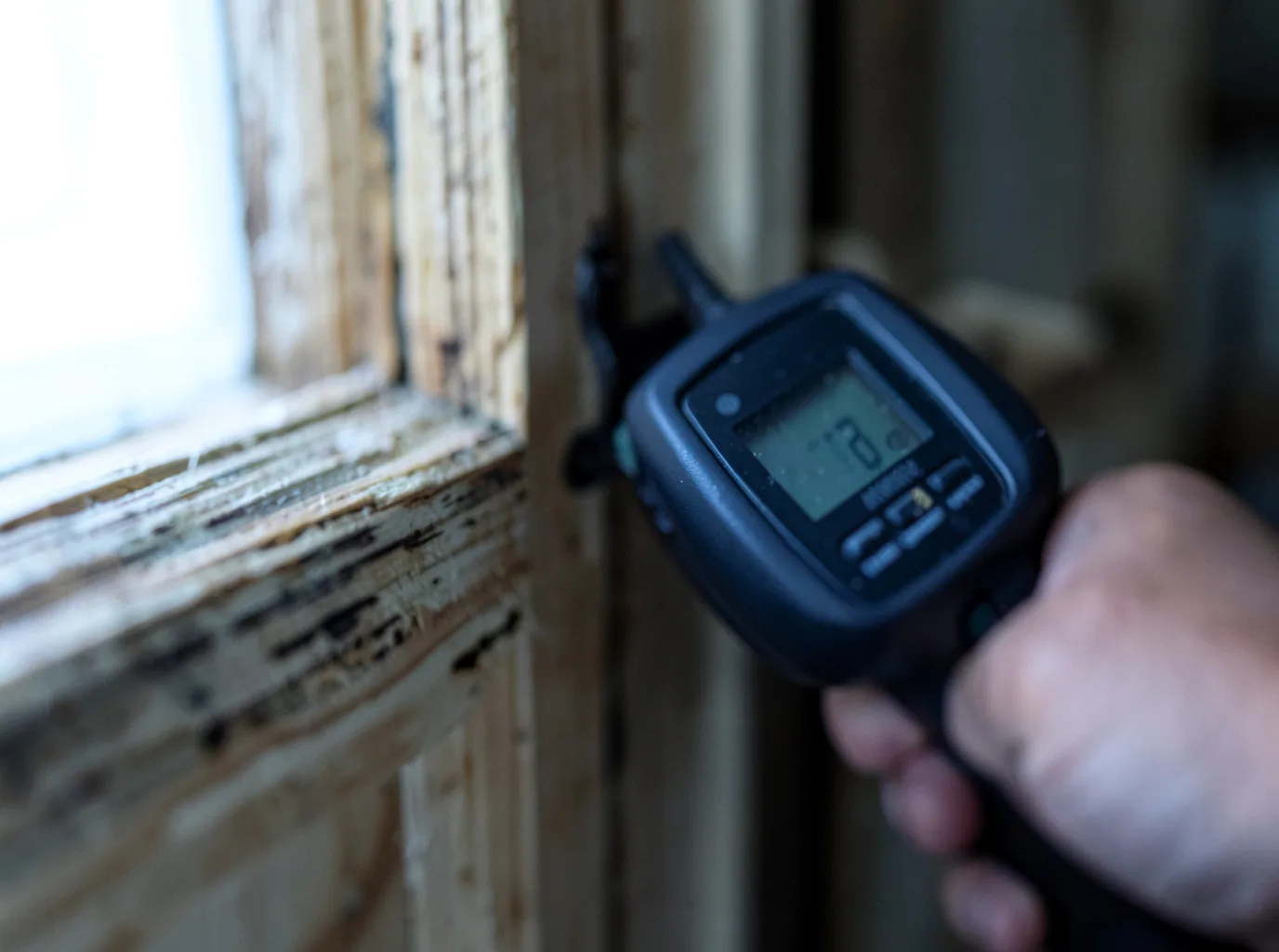 Moisture Inspection And Documentation in Cascade, CO